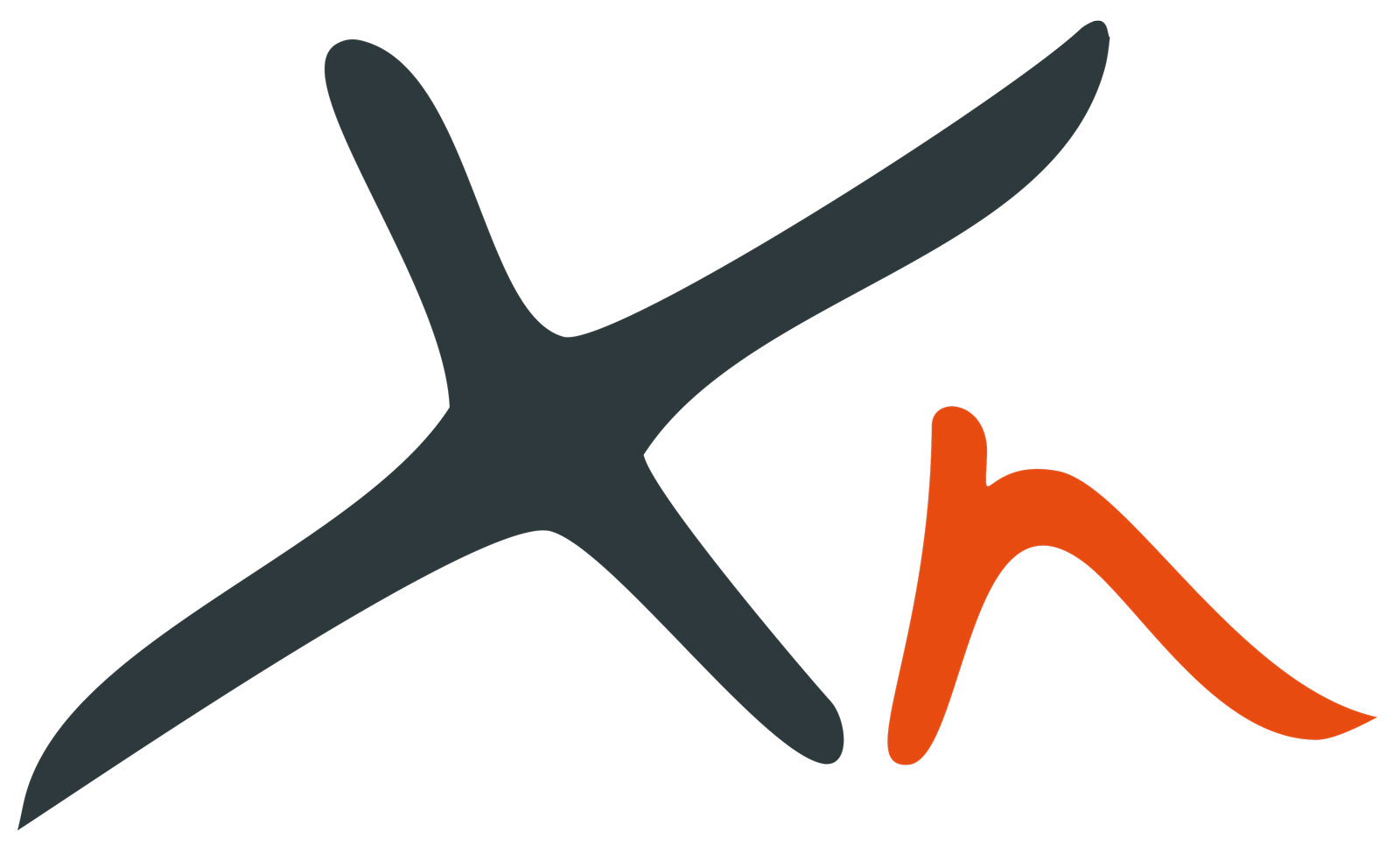 Xn_Logo_Colour.jpg