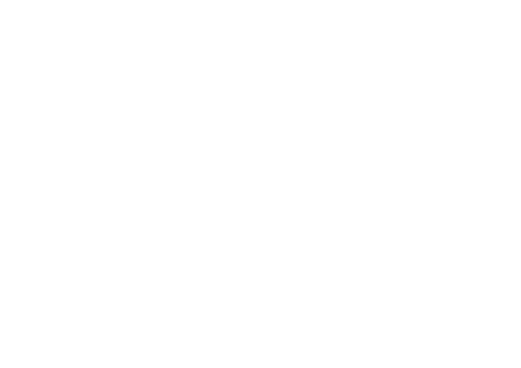 Everybody Foundation logo