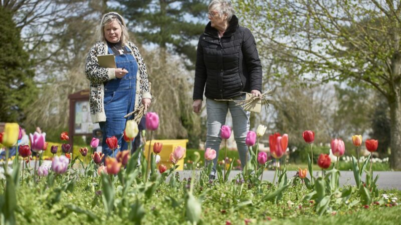Green Spaces for Wellbeing