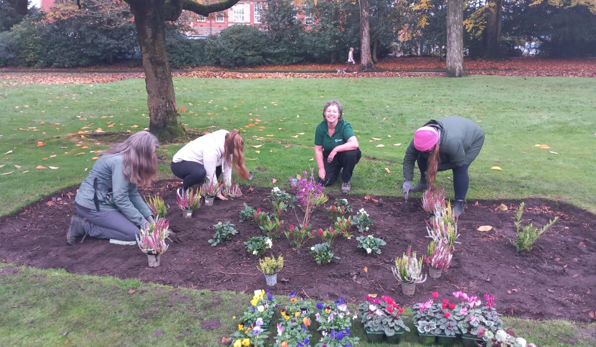 Garden and Grow participants planting a range of flowers in a flower bed