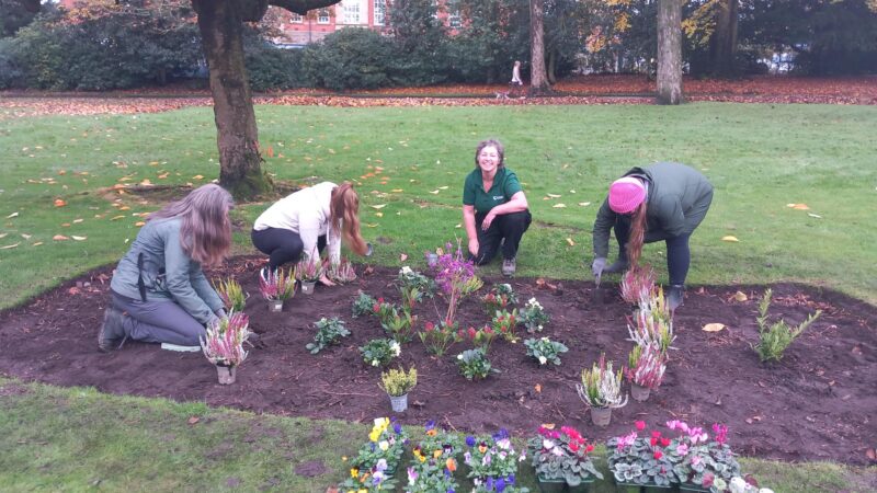 Garden and Grow participants planting a range of flowers in a flower bed